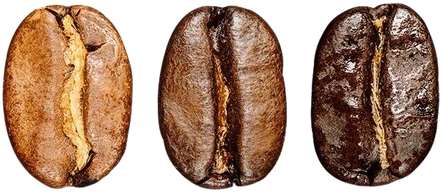 Granos de café en distintos niveles de tueste
